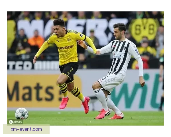 阿斯拉尼传闻入多特引援名单 双方尚未展开正式接触